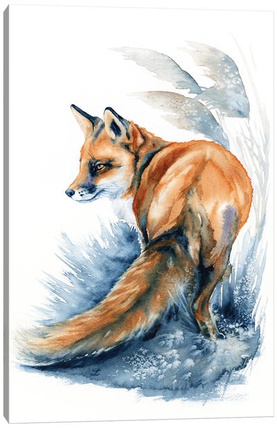Fox In The Reeds Canvas Art Print - Zaira Dzhaubaeva