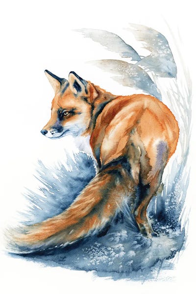 Zaira Dzhaubaeva: Fox In The Reeds by Zaira Dzhaubaeva