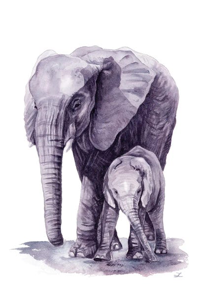 Mother Elephant With Her Calf by Zaira Dzhaubaeva canvas print