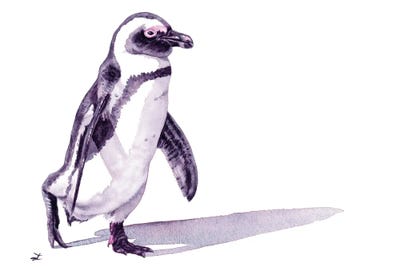 African Penguin by Zaira Dzhaubaeva multi panel art