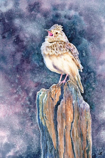 Zaira Dzhaubaeva: Lark, The Daybreak Troubadour by Zaira Dzhaubaeva