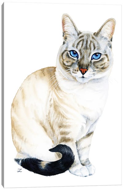 Tiramisu The Blue-Eyed Cat Canvas Art Print - Zaira Dzhaubaeva