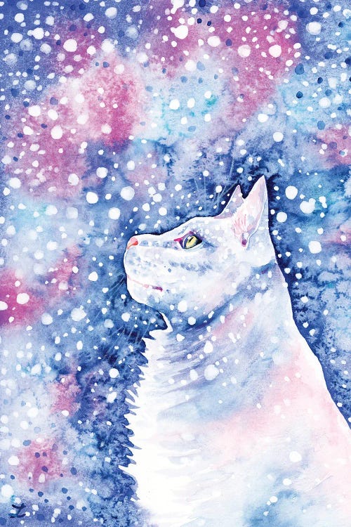 Snow Cat by Zaira Dzhaubaeva wall art