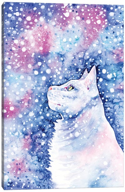 Snow Cat Canvas Art Print - Zaira Dzhaubaeva