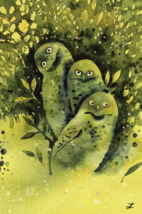 Owls by Zaira Dzhaubaeva wall art