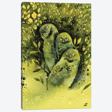 Owls Canvas Print #ZDZ240} by Zaira Dzhaubaeva Canvas Print