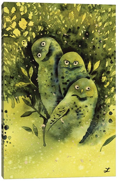 Owls Canvas Art Print - Zaira Dzhaubaeva