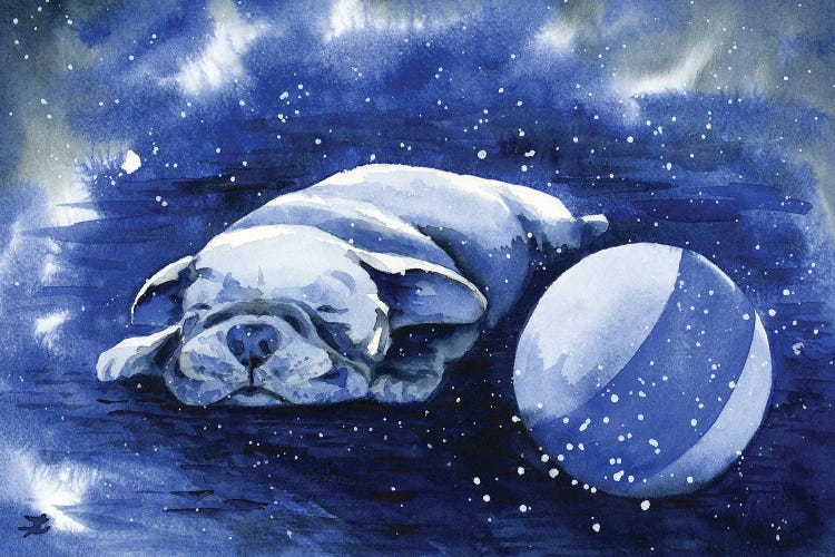 Puppy Dreams by Zaira Dzhaubaeva wall art