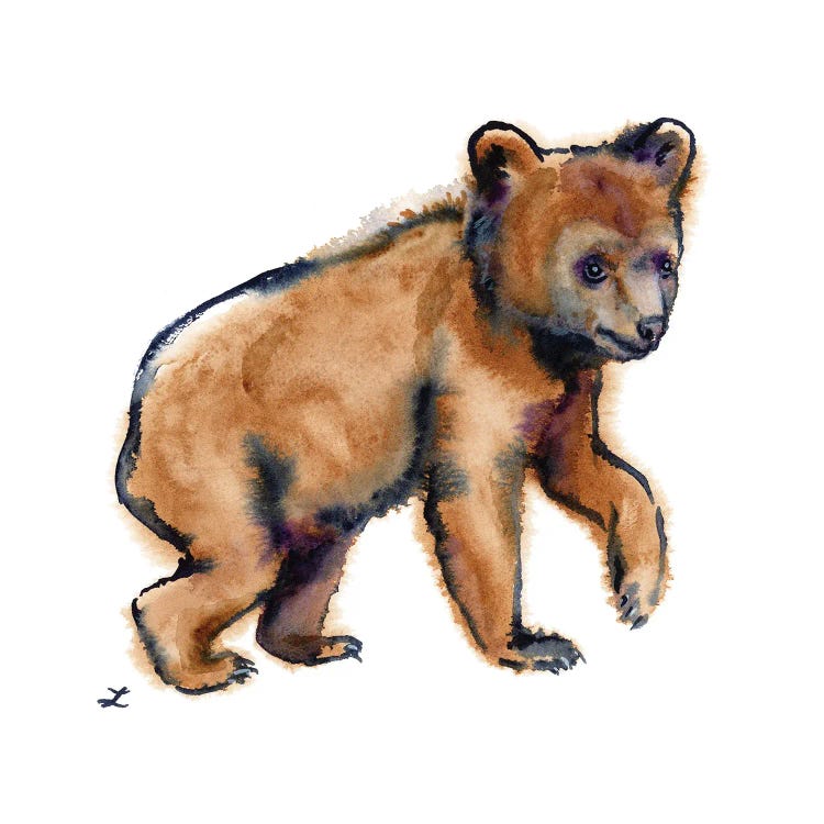 Bear Cub