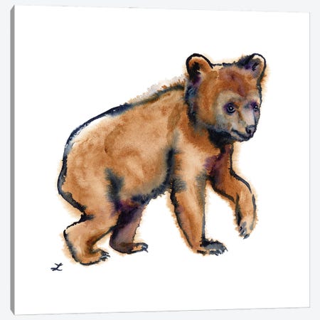 Bear Cub Canvas Print #ZDZ245} by Zaira Dzhaubaeva Canvas Artwork