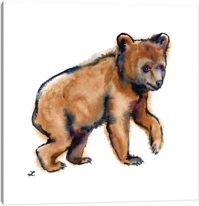 Bear Cub Canvas Art Print - Zaira Dzhaubaeva