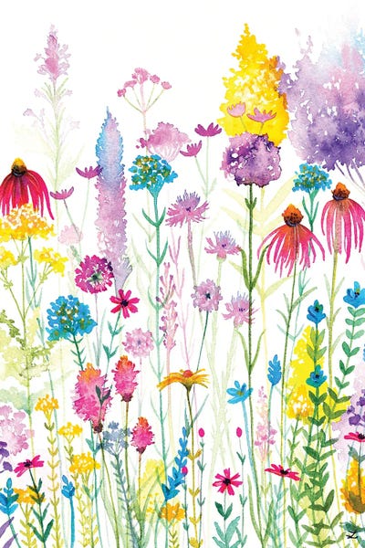 Wildflowers: Wildflowers by Zaira Dzhaubaeva