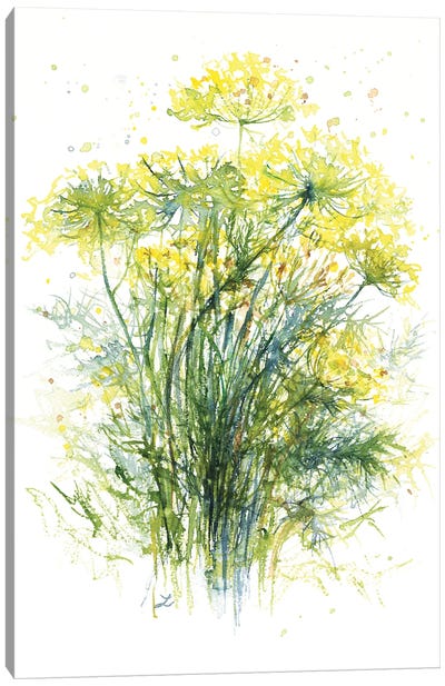 Dill Flowers Canvas Art Print - Zaira Dzhaubaeva