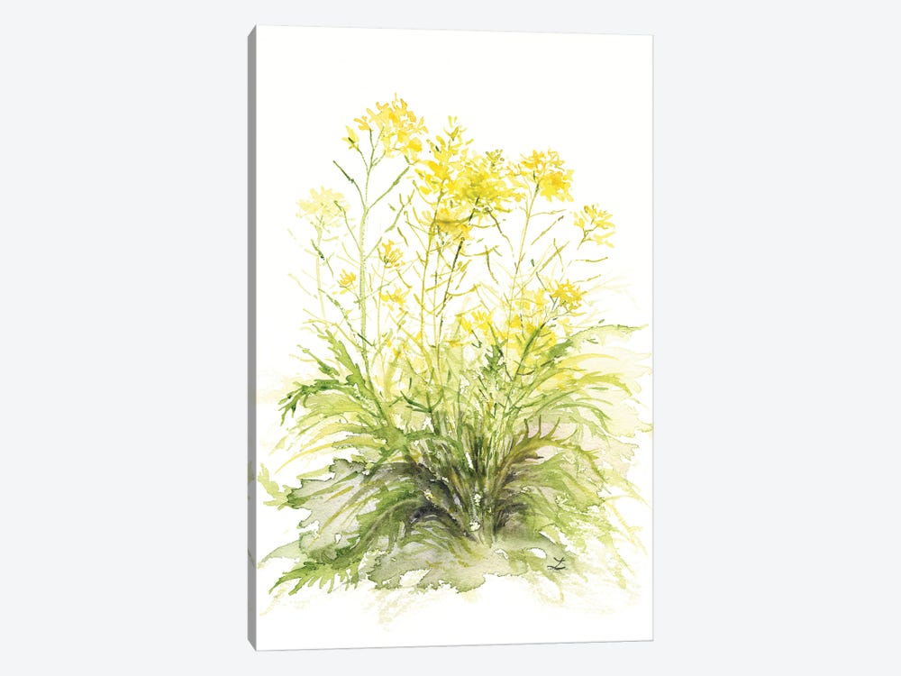 Mustard Flowers by Zaira Dzhaubaeva 1-piece Canvas Art Print