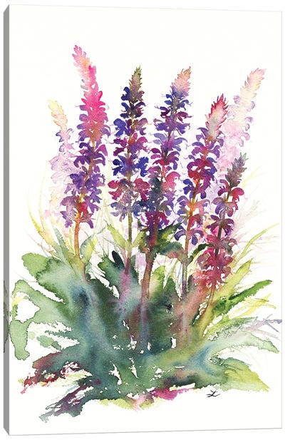 Wild Sage Canvas Art Print - Wildflowers