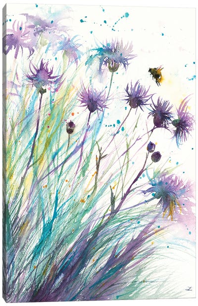 Bee And Thistle Canvas Art Print - Zaira Dzhaubaeva