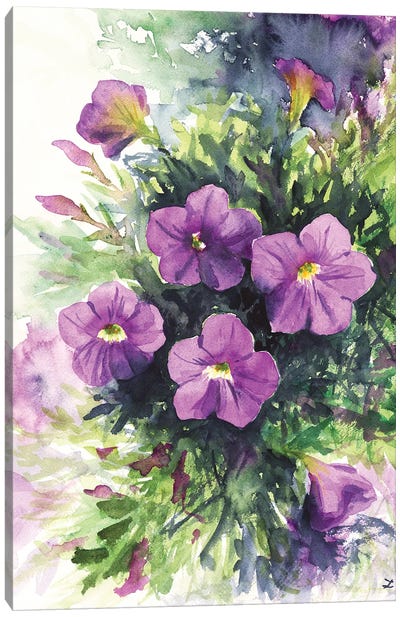 Purple Petunias Canvas Art Print - Zaira Dzhaubaeva