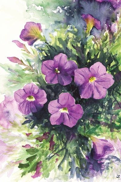 Zaira Dzhaubaeva: Purple Petunias by Zaira Dzhaubaeva