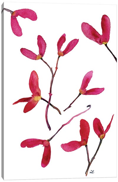 Samaras Red Maple Seeds Canvas Art Print - Maple Tree Art