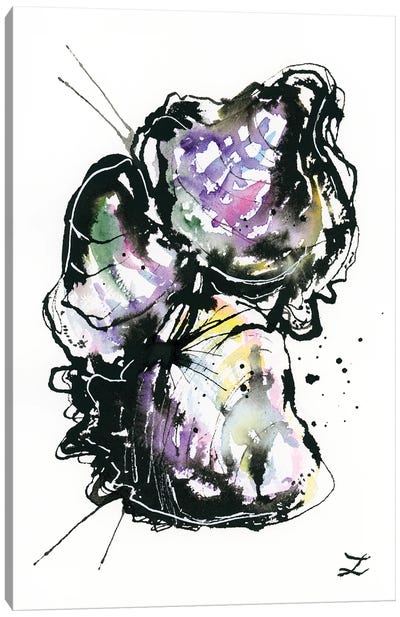 Oyster Shells Canvas Art Print - Zaira Dzhaubaeva
