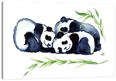 Three Sleeping Baby Panda Bears Canvas Art Print - Baby Animal Art
