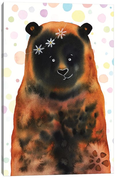 Daisy Bear Canvas Art Print - Zaira Dzhaubaeva