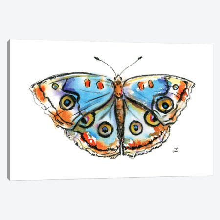 Blue Buckeye Butterfly Canvas Print #ZDZ271} by Zaira Dzhaubaeva Canvas Art