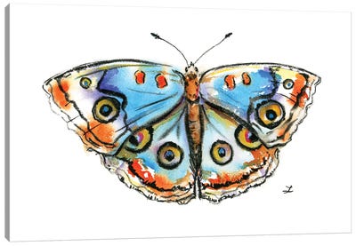 Blue Buckeye Butterfly Canvas Art Print - Zaira Dzhaubaeva