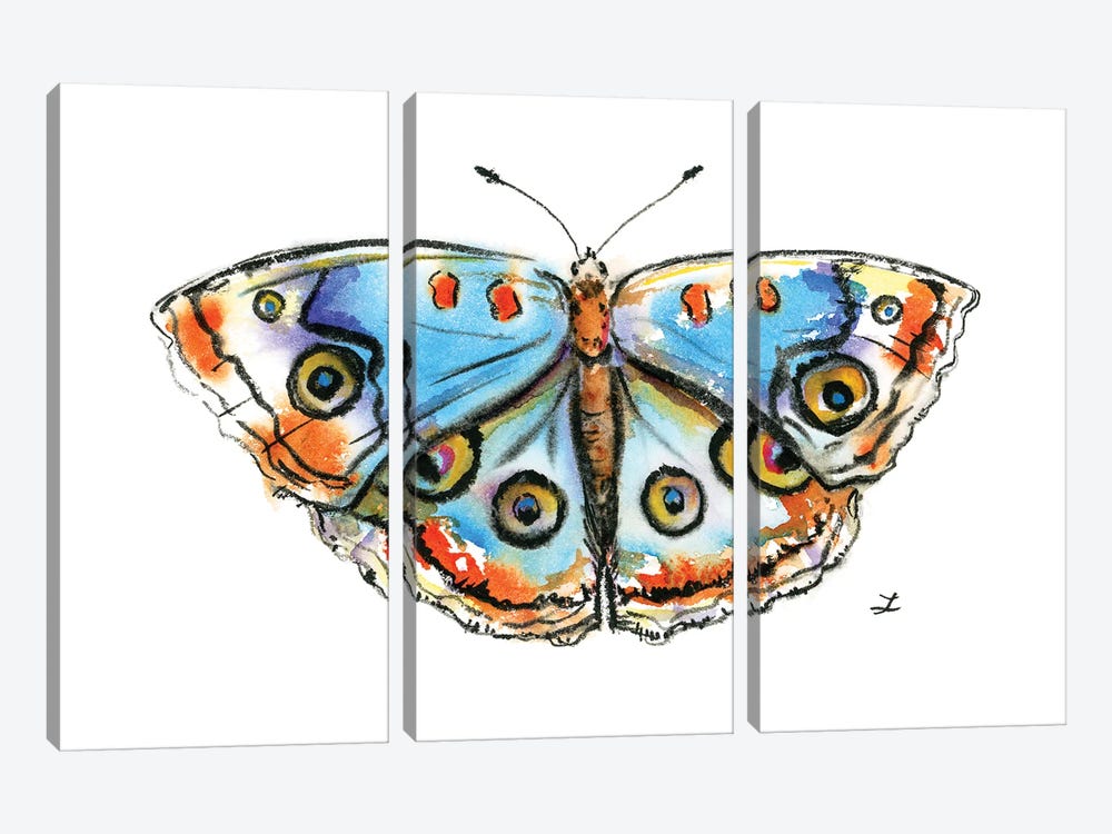 Blue Buckeye Butterfly by Zaira Dzhaubaeva 3-piece Canvas Art Print