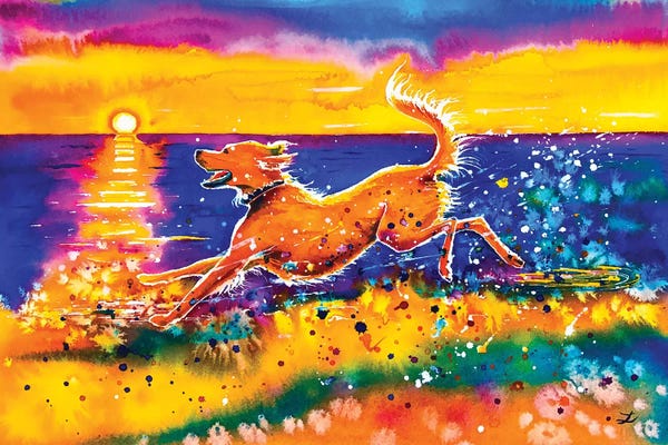 Golden Retrievers: Catching The Sun by Zaira Dzhaubaeva