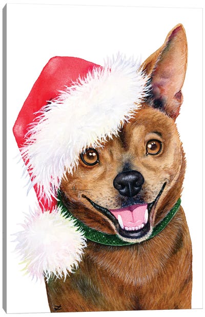 Christmas Dog Canvas Art Print - Zaira Dzhaubaeva