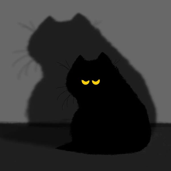 Black Cats: Black Cat And Its Shadow by Zaira Dzhaubaeva
