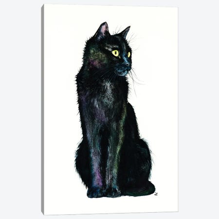 Shades Of The Black Cat Canvas Print #ZDZ287} by Zaira Dzhaubaeva Canvas Wall Art