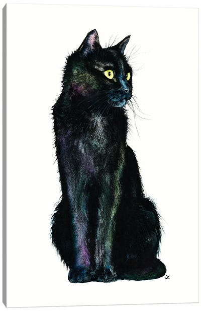 Shades Of The Black Cat Canvas Art Print - Black Cat Art