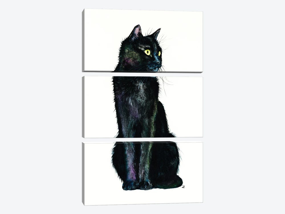 Shades Of The Black Cat by Zaira Dzhaubaeva 3-piece Canvas Artwork