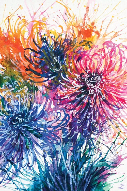 Chrysanthemum Splash by Zaira Dzhaubaeva wall art