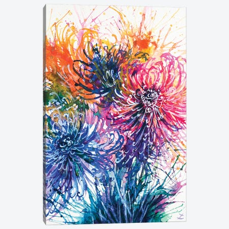 Chrysanthemum Splash Canvas Print #ZDZ28} by Zaira Dzhaubaeva Canvas Art Print