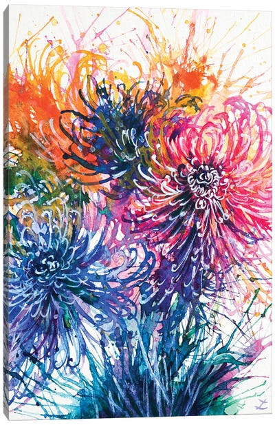 Chrysanthemum Splash Canvas Art Print - Zaira Dzhaubaeva