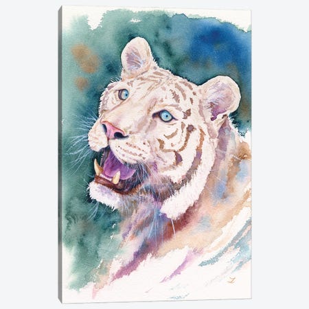 White Tiger Canvas Print #ZDZ290} by Zaira Dzhaubaeva Canvas Artwork