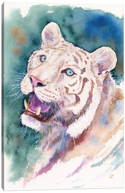 White Tiger Canvas Art Print - Zaira Dzhaubaeva