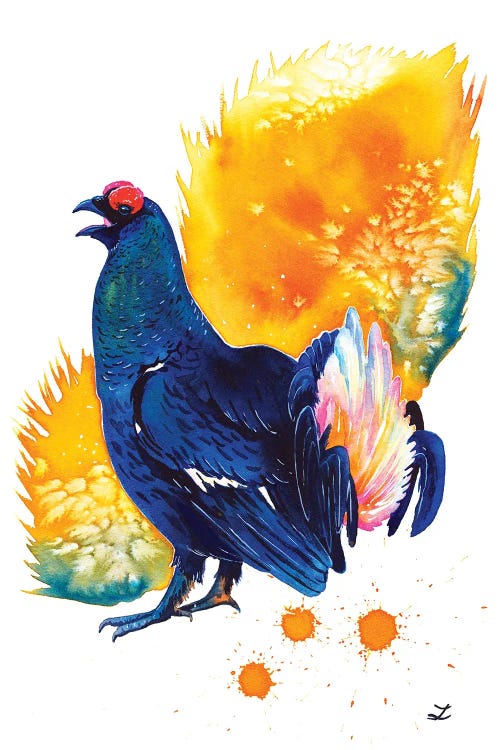 Black Grouse by Zaira Dzhaubaeva wall art