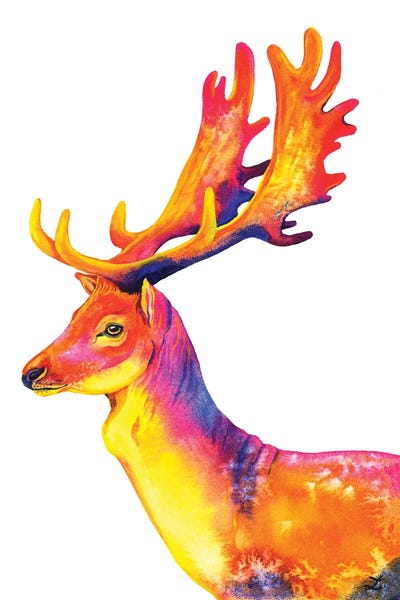 Fallow Deer by Zaira Dzhaubaeva canvas print