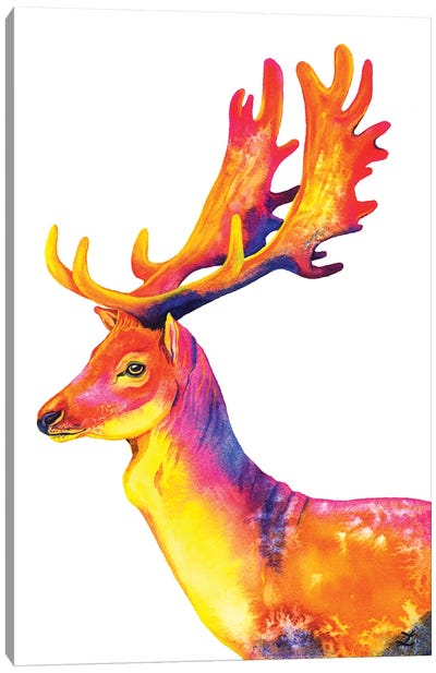 Fallow Deer Canvas Art Print - Zaira Dzhaubaeva
