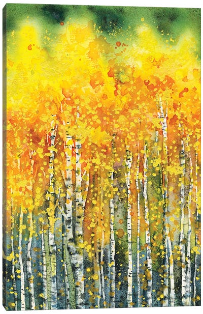 Golden Aspen Trees Canvas Art Print - Zaira Dzhaubaeva