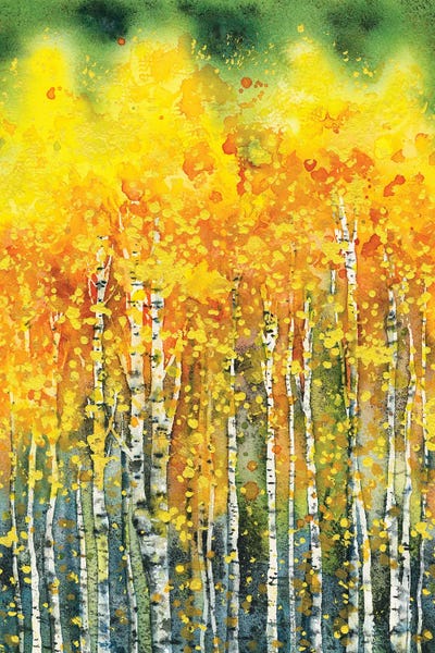 Aspen Trees: Golden Aspen Trees by Zaira Dzhaubaeva