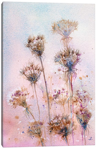 Queen Anne's Lace Canvas Art Print - Dandelion Art