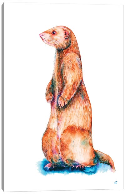 Cinnamon Ferret Canvas Art Print - Ferrets