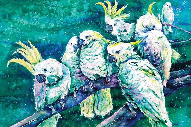 Cockatoos by Zaira Dzhaubaeva wall art