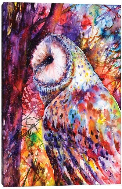 Colors Of The Wild Canvas Art Print - Owl Art