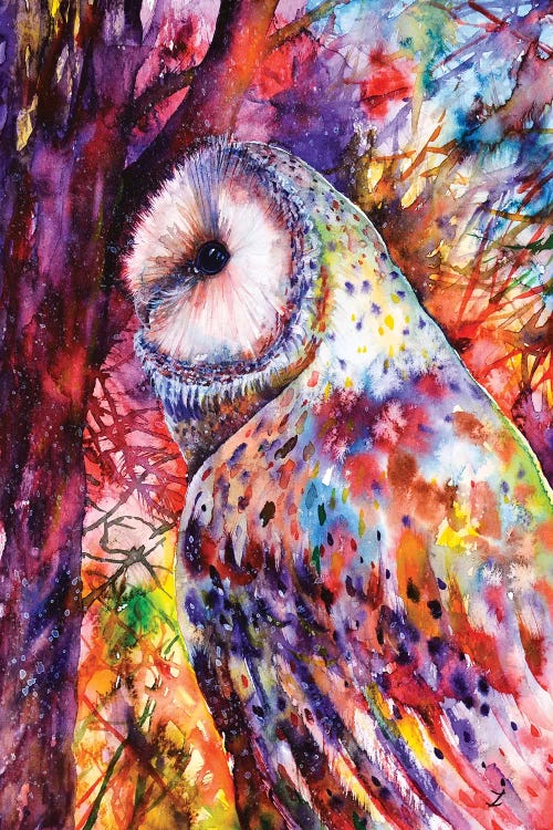 Colors Of The Wild by Zaira Dzhaubaeva wall art